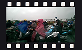 Ｓｑｕａｌｌ　＆　Ｍｏｔｏ　Ｆｒｏｍ　Ｖｉｅｔｎａｍ